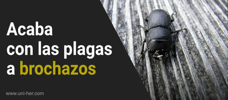 Acaba con las plagas a brochazos